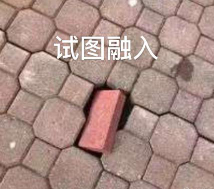 新華互聯(lián)網(wǎng)科技正式入駐Bilibili！會摩擦出什么樣火花呢？